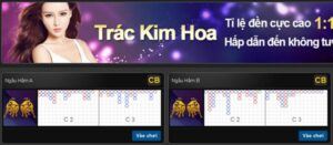 Trác Kim Hoa là gì? Luật chơi game bài Trác Kim Hoa cơ bản