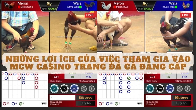 Những lợi ích của việc tham gia vào mcw casino trang đá gà đẳng cấp