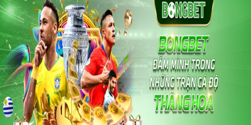 Đánh giá chi tiết nhất về nhà cái cá cược Bongbet