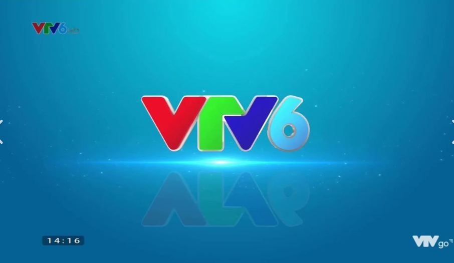 VTV6