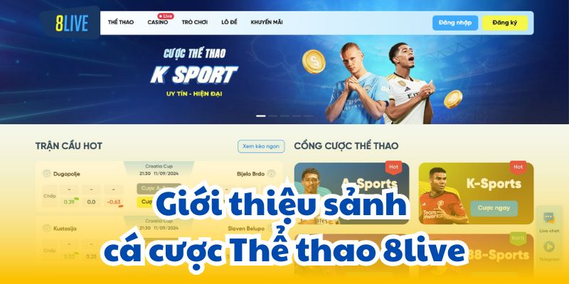 Giới thiệu sảnh cá cược Thể thao 8live