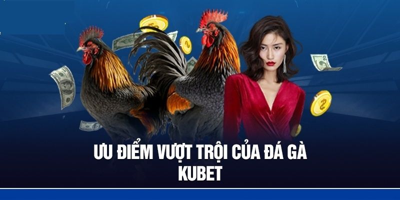 Điểm mạnh của sân chơi đá gà Kubet