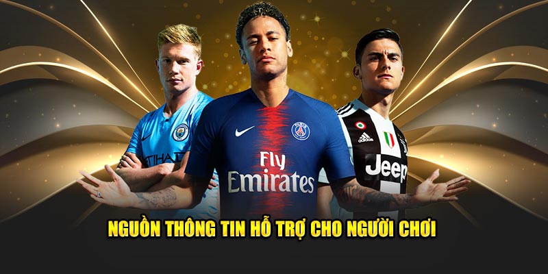 Nguồn thông tin hỗ trợ cho người chơi