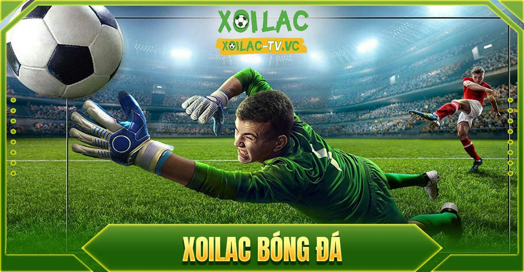 Xoilac TV được nhiều fan nhận định là kẻ dẫn đầu trên thị trường bóng đá số 